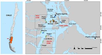 Biological and fishery indicators for the small-scale marble crab fishery in Northern Patagonia: recommendations for improving a monitoring program and stock assessment of a data-limited fishery